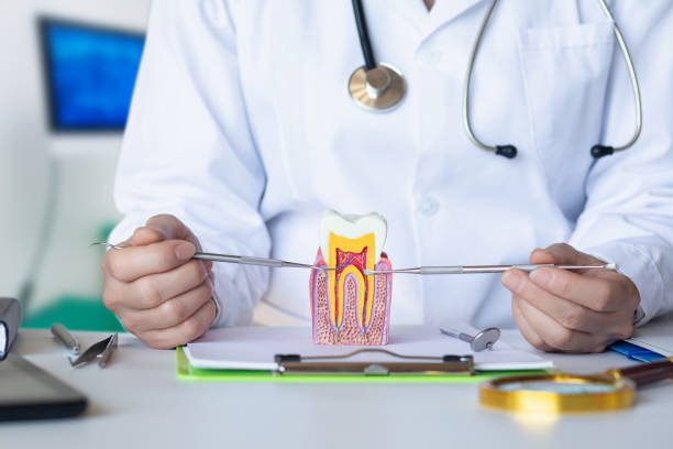 Trusted KY Emergency Dental Service Experts